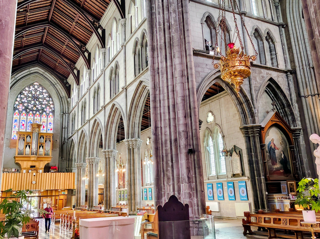 St. Mary's Catholic Cathedral-基尔肯尼必去景点