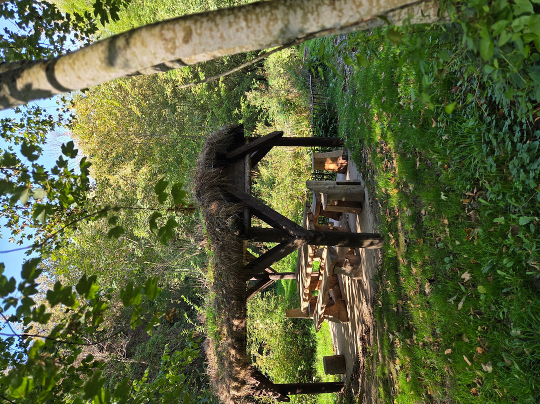 Les ruines du Chateau Fort de Montaigle-Falaen必去景点