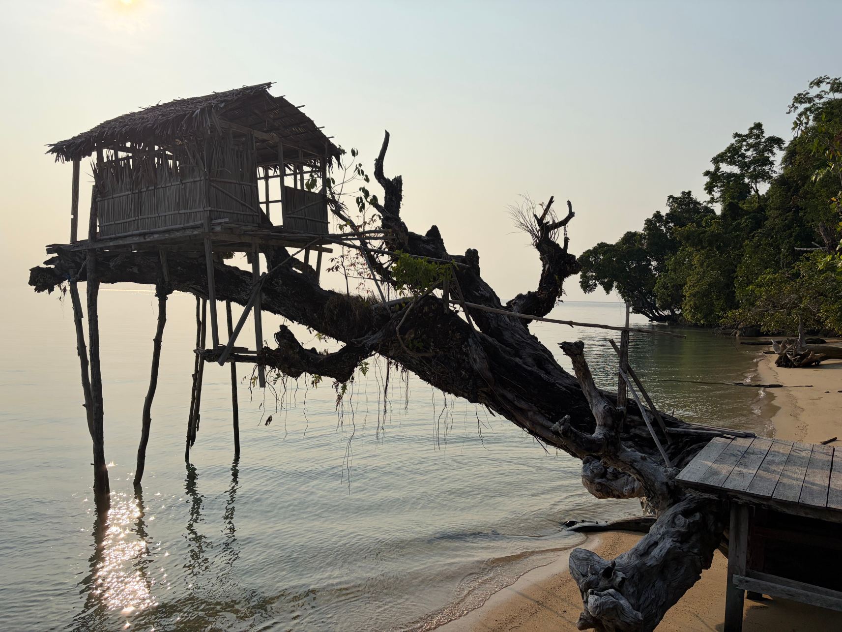 Kali Lemon Dive Resort-旅行者