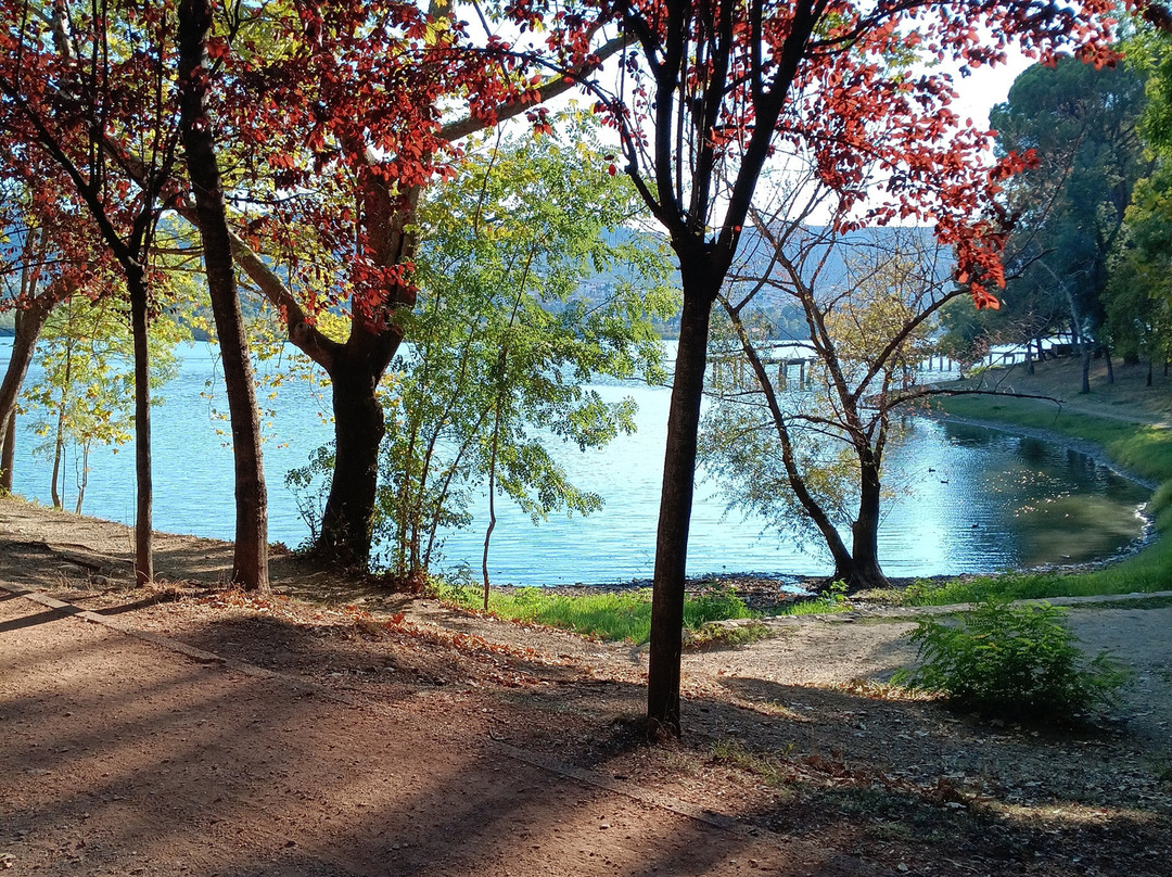 Grand Park (Parku i Madh)-地拉那必去景点