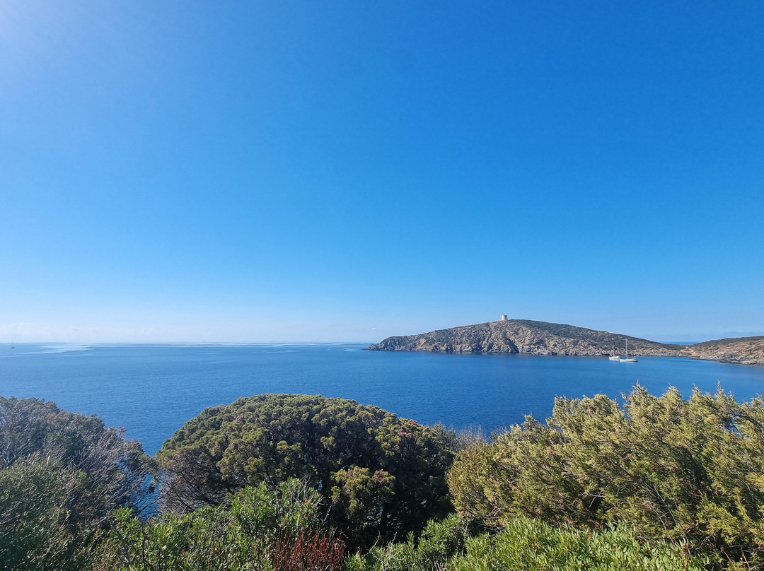 Spiaggia di Tuerredda-Teulada必去景点