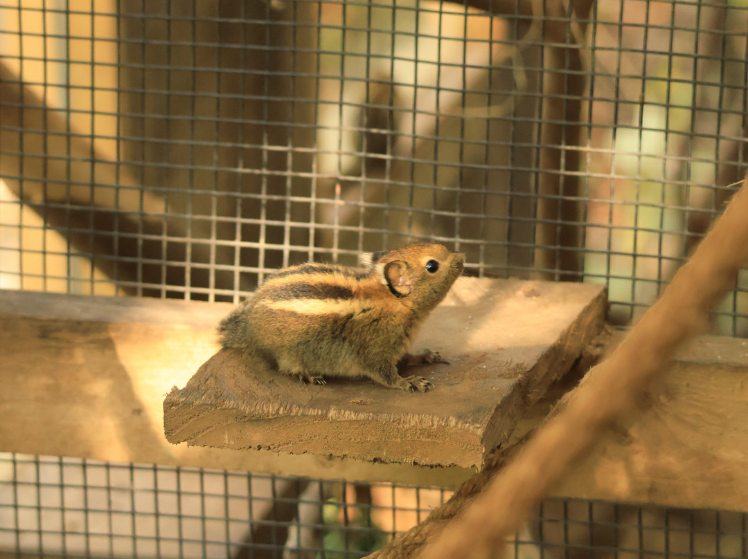 Lakeland Wildlife Oasis-Milnthorpe必去景点