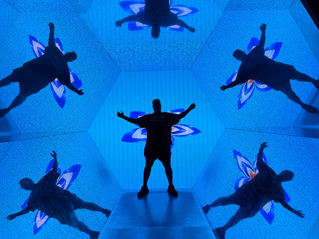 Museum Of Illusions Cape Town-开普敦中心区必去景点