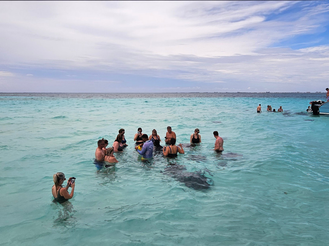 Stingray City-大开曼岛必去景点