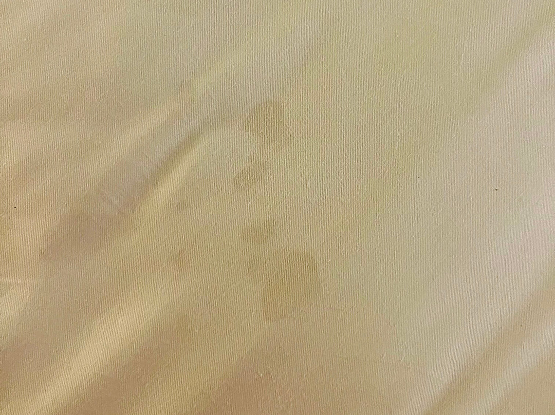 夏威夷费尔蒙特兰花酒店主图