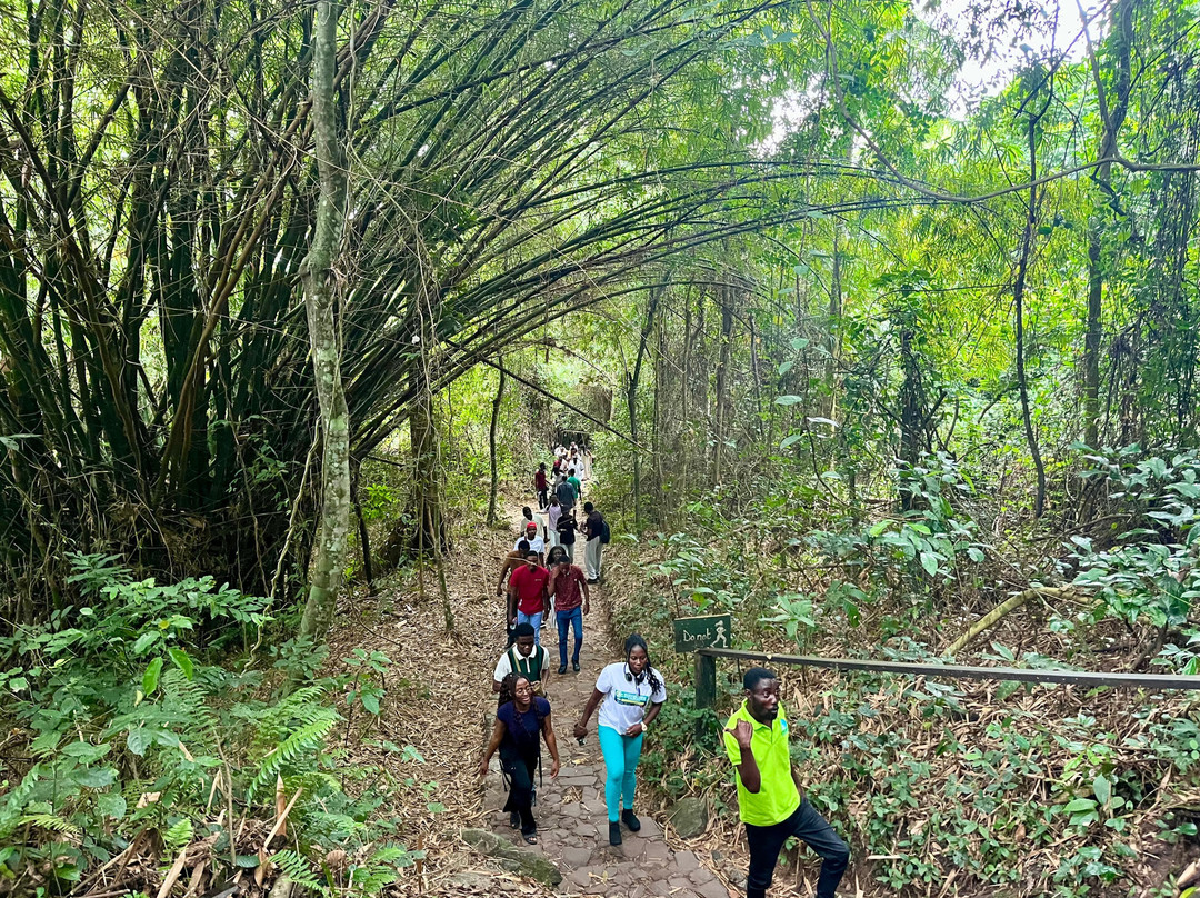 Kakum National Park-Cape Coast必去景点