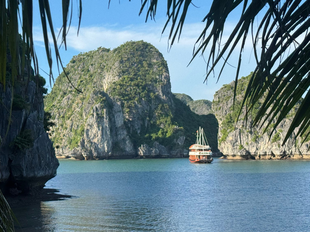 Cat Ba Ocean Cruises-广宁省必去景点