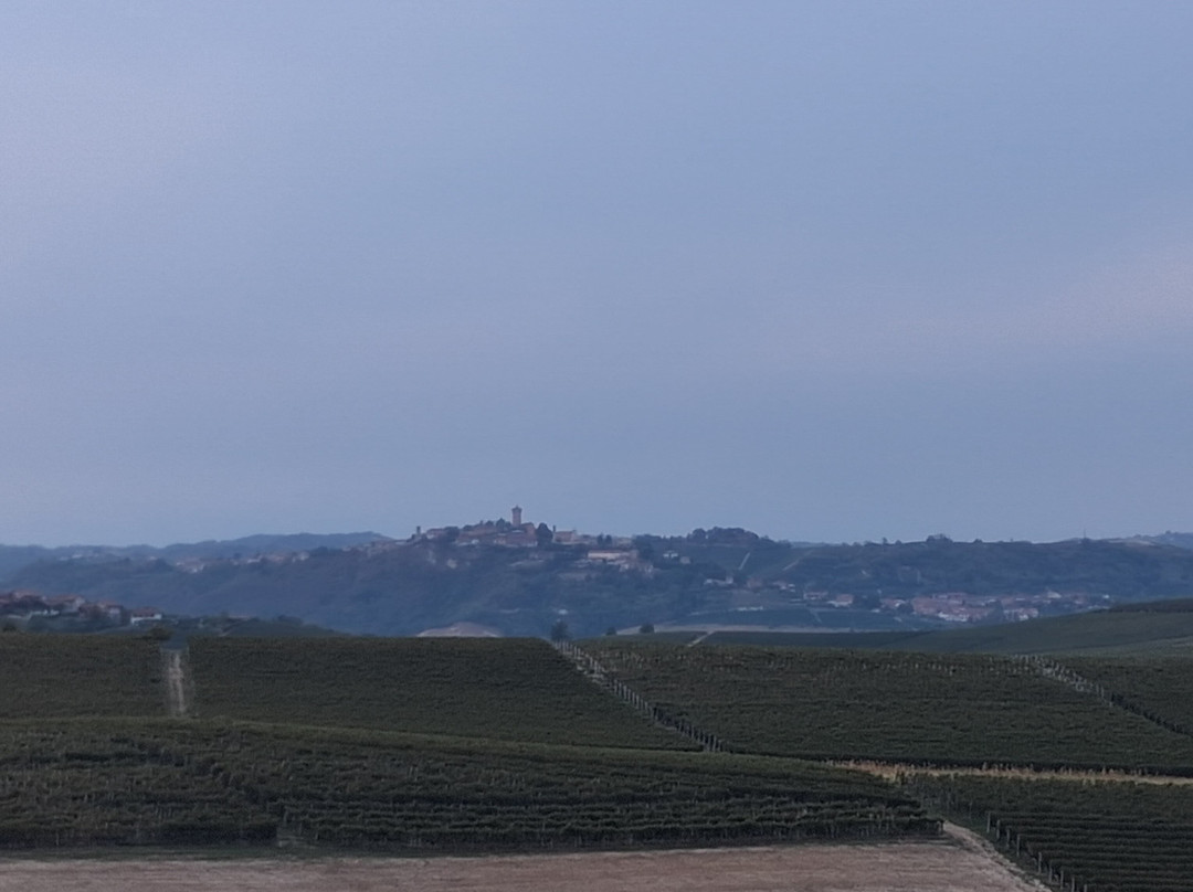 Il Vigneto Di Roddi主图