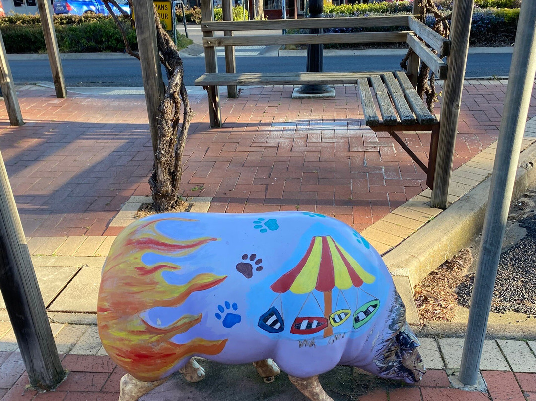 Sheep Art-Kaniva必去景点