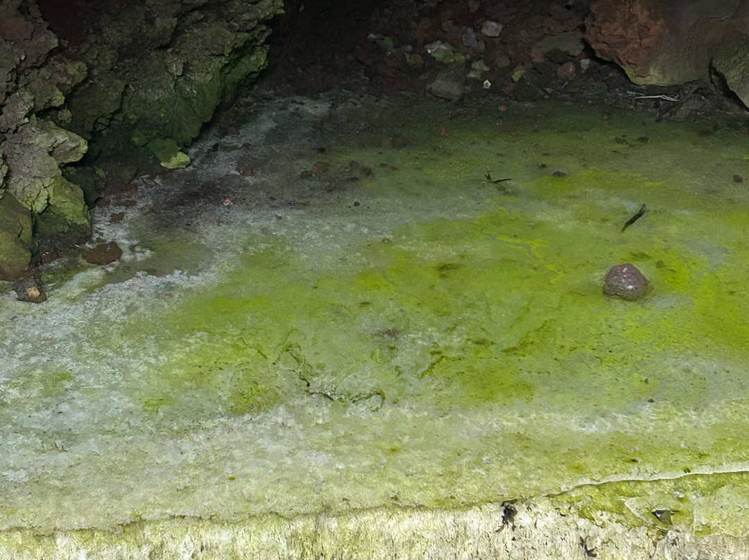 Land of Fire & Ice (Bandera Volcano & Ice Cave)-Grants必去景点
