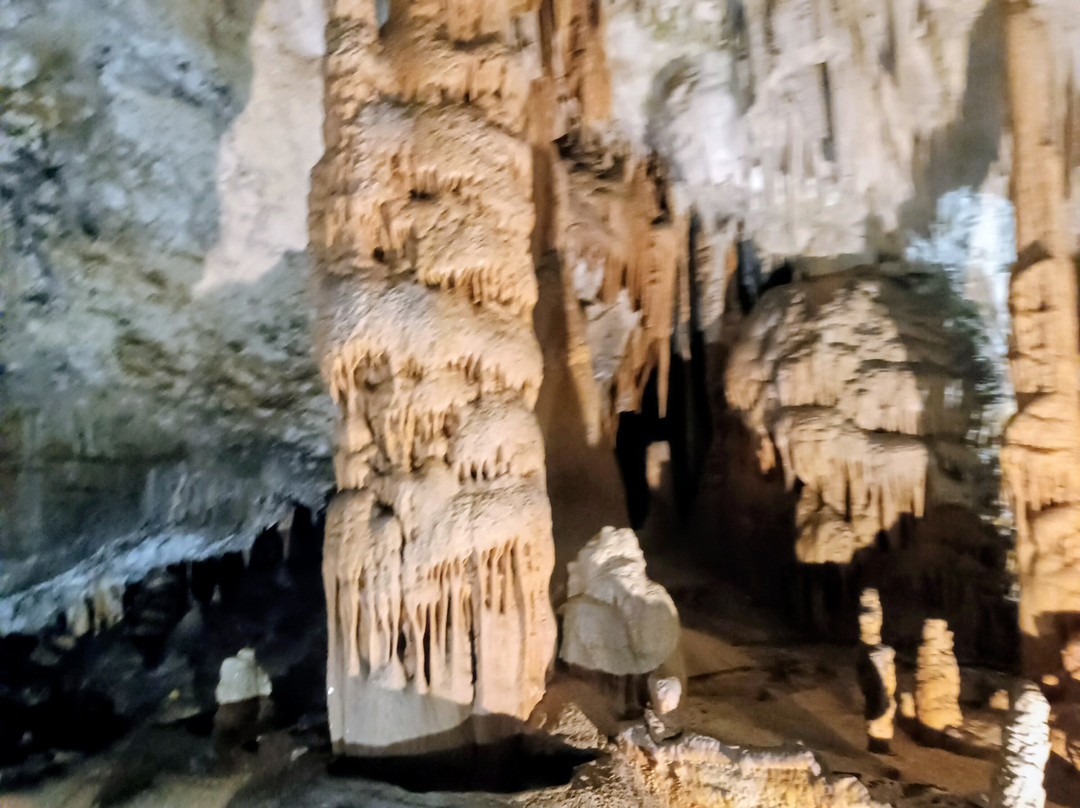 Postojna Cave-波斯托伊纳必去景点