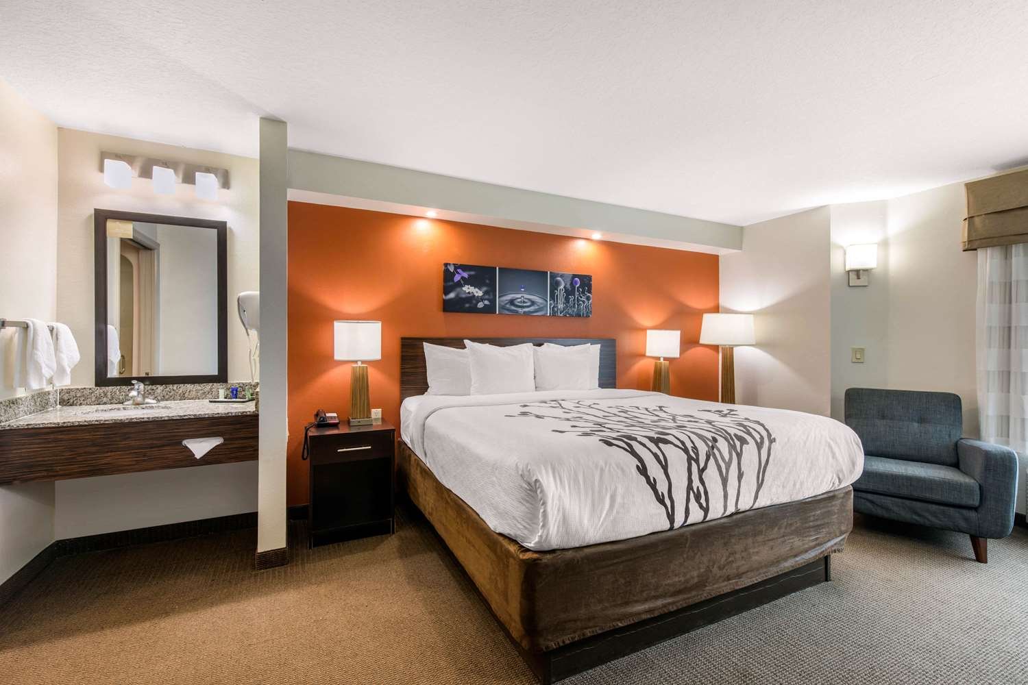 Sleep Inn Clearwater - St Petersburg-官方