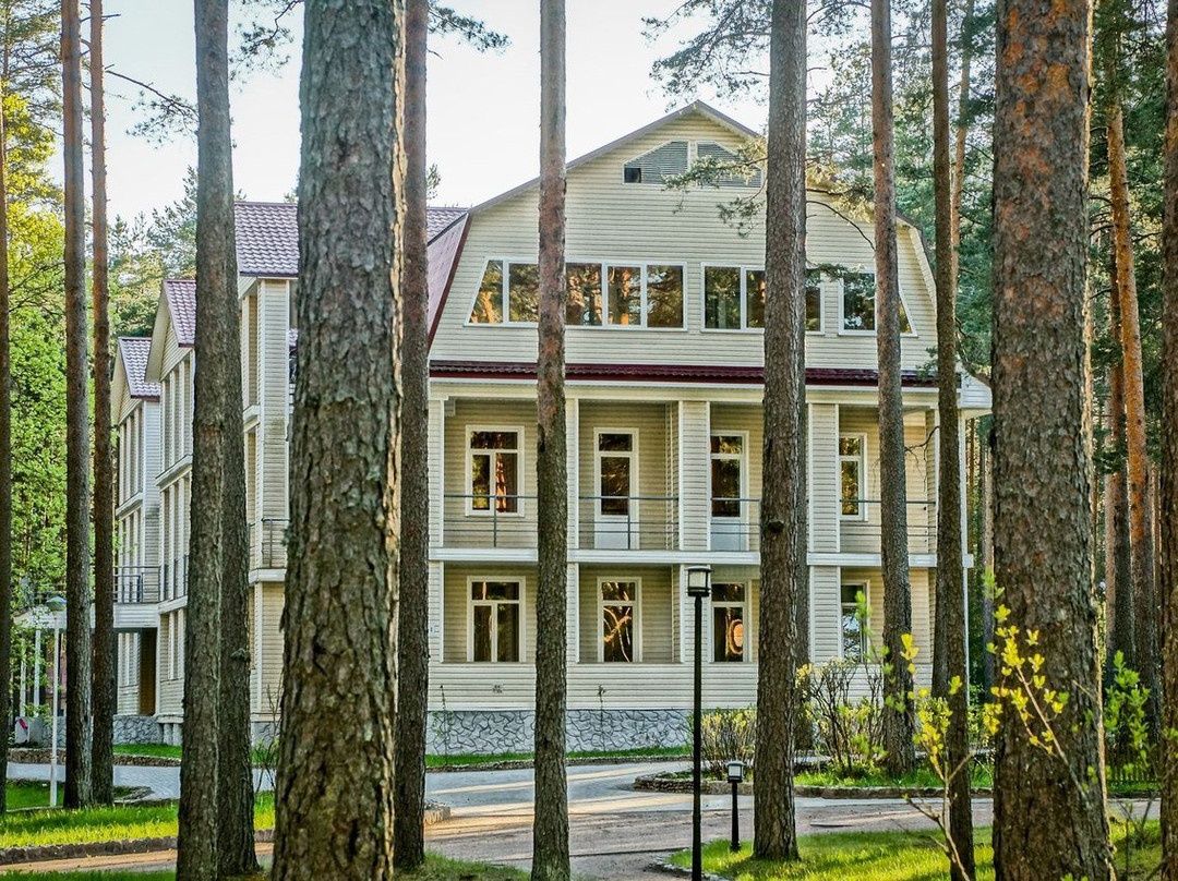 Hotel Raivola主图