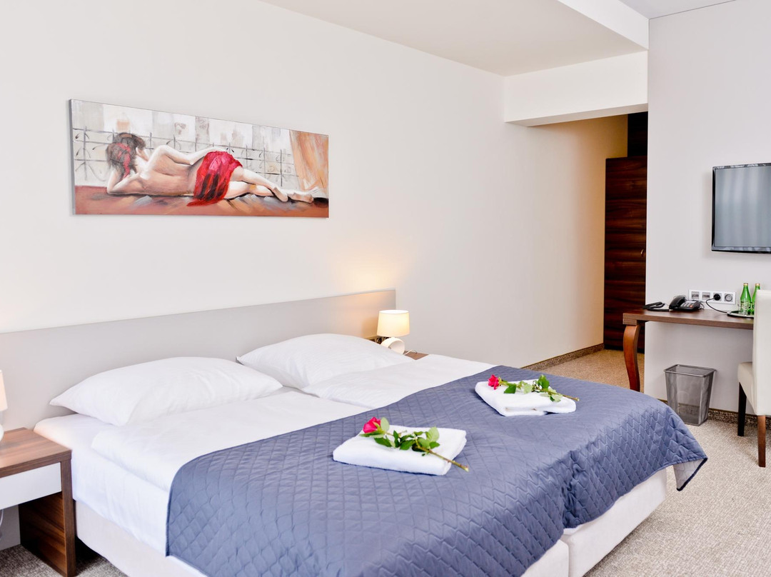 Hotel Olsza主图