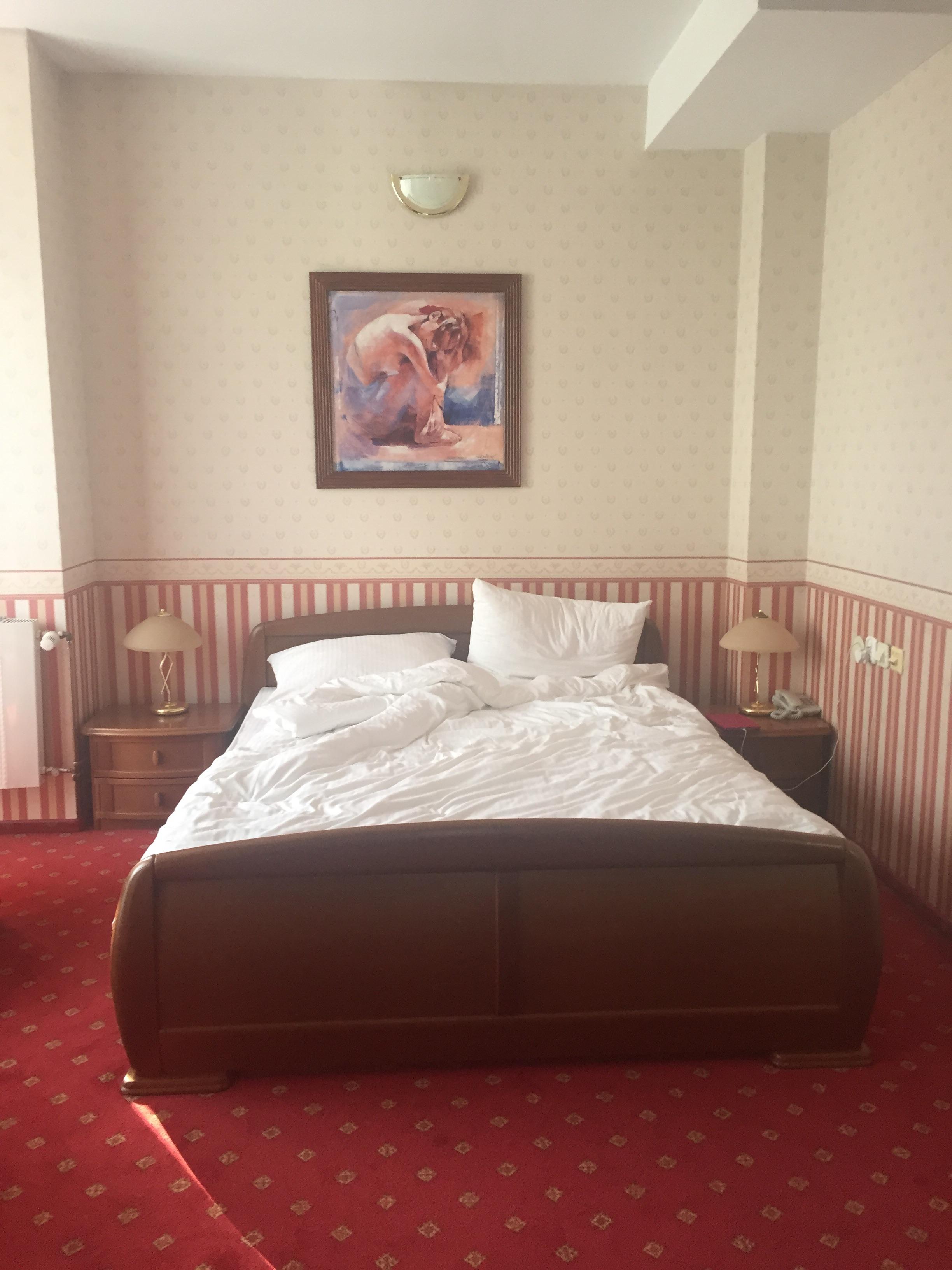 Hotel Janusz-客卧
