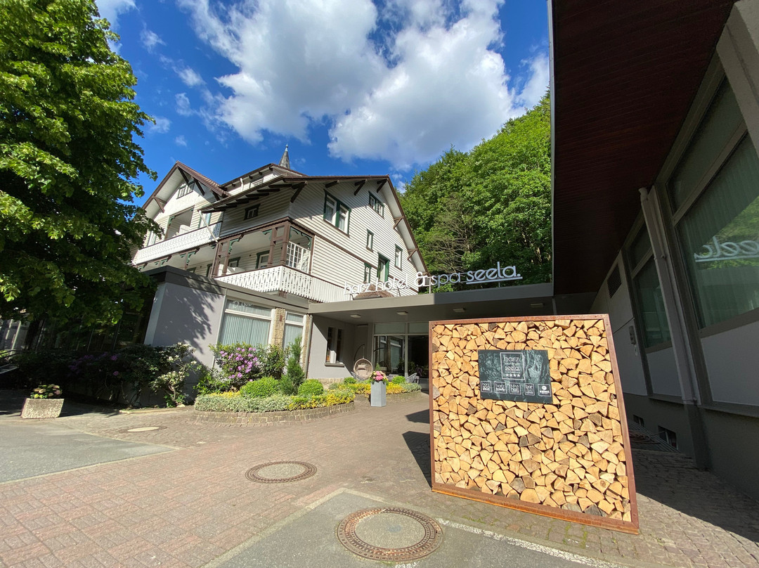 巴特哈尔茨堡旅游攻略图片