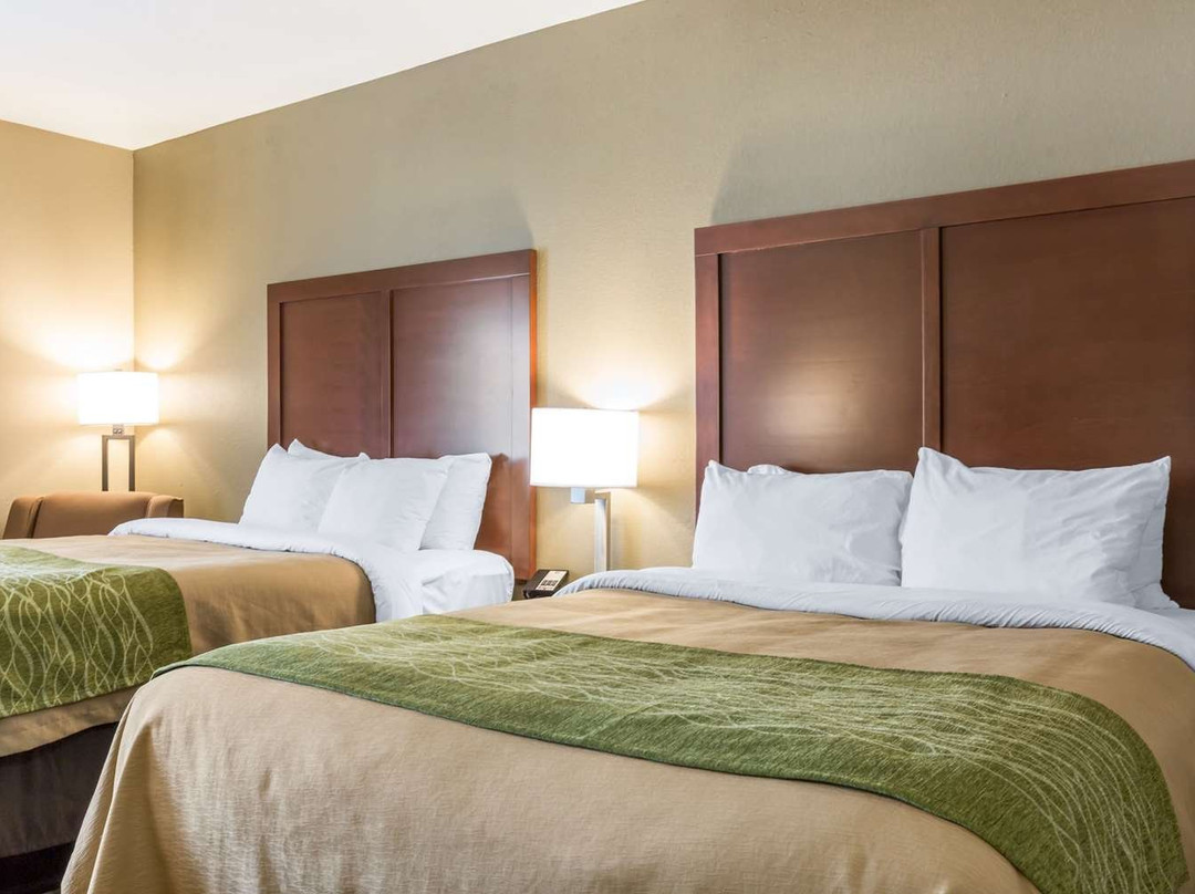 Pontoon Beach酒店住宿-Comfort Inn Collinsville Near St. Louis