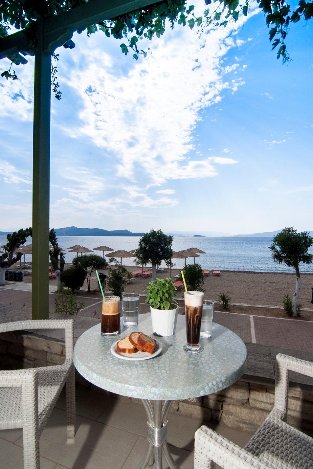 Hotel Delfini-官方