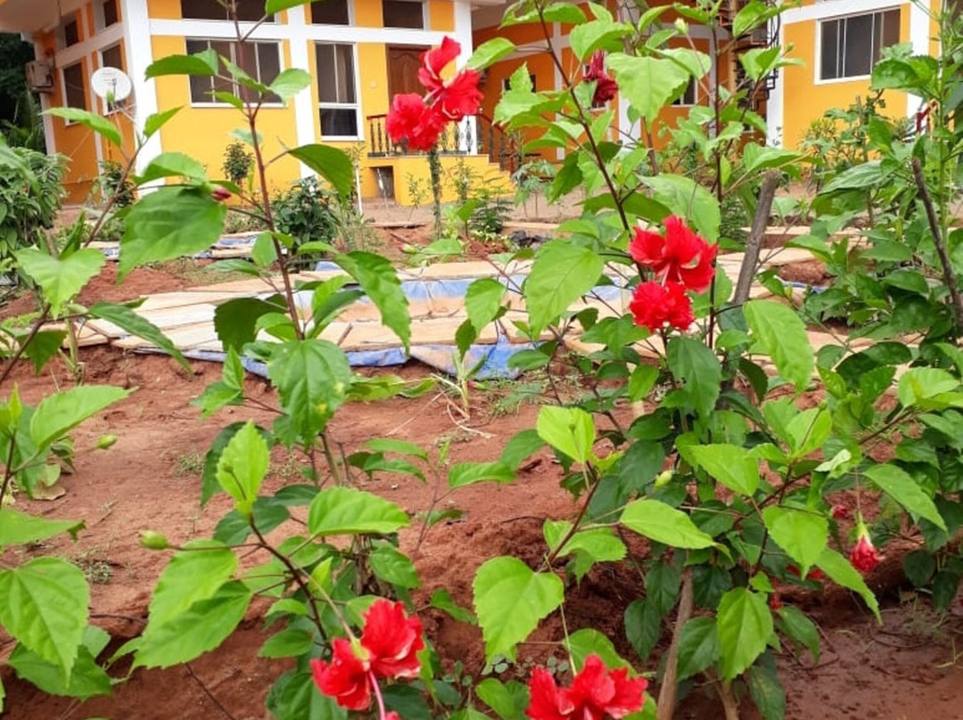 Paradisestay Auro Jungle Resort