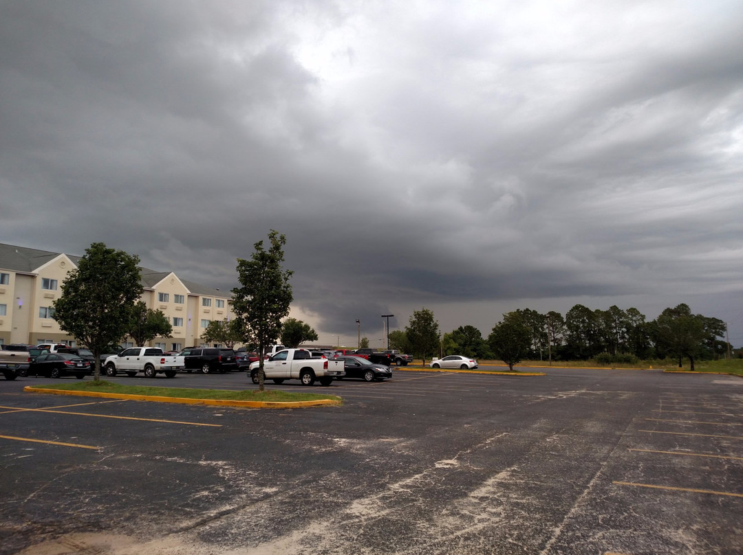 Comfort Inn Gulfport