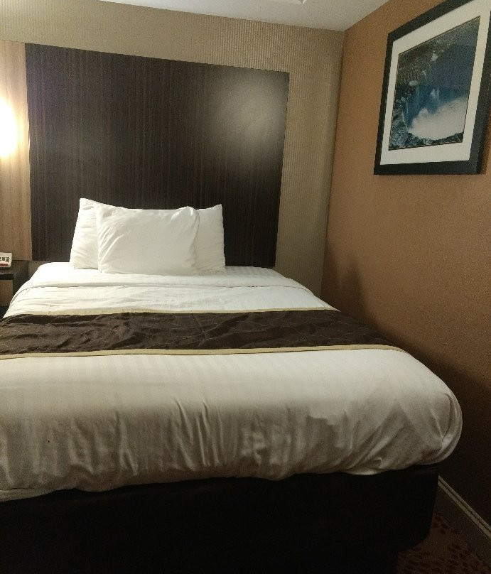 尼亚加拉河阿沙姆酒店