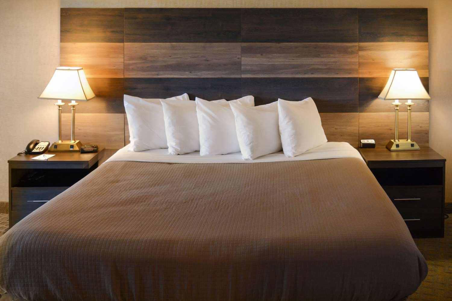 Clarion Hotel Philadelphia International Airport-官方