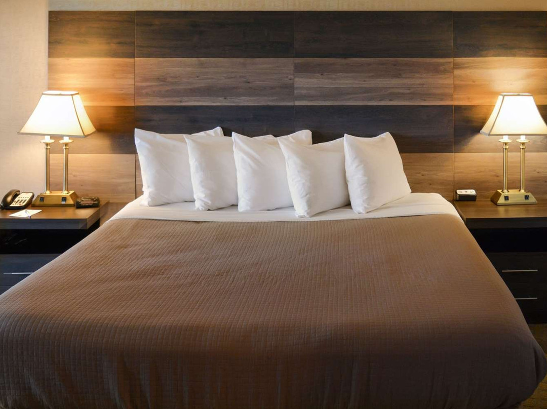 Clarion Hotel Philadelphia International Airport主图