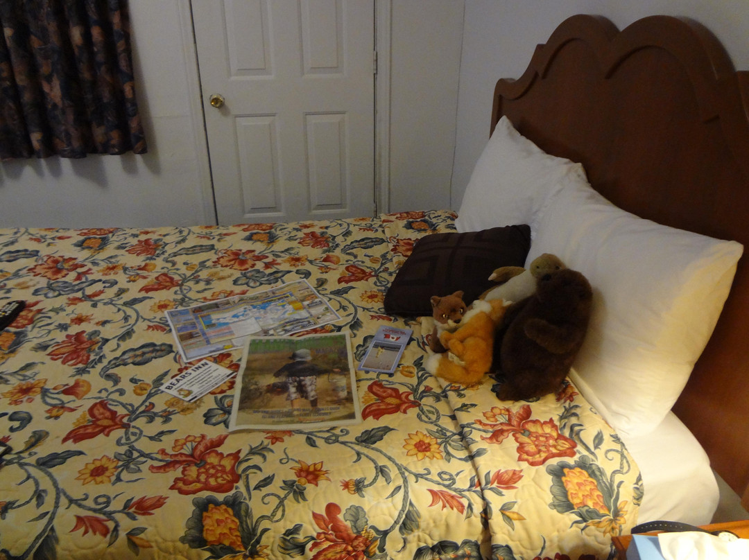 Relax Inn Collingwood