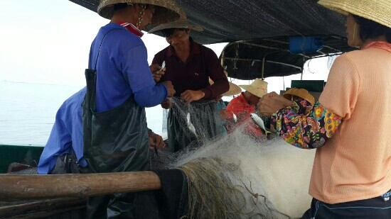 湛江徐闻灯楼角