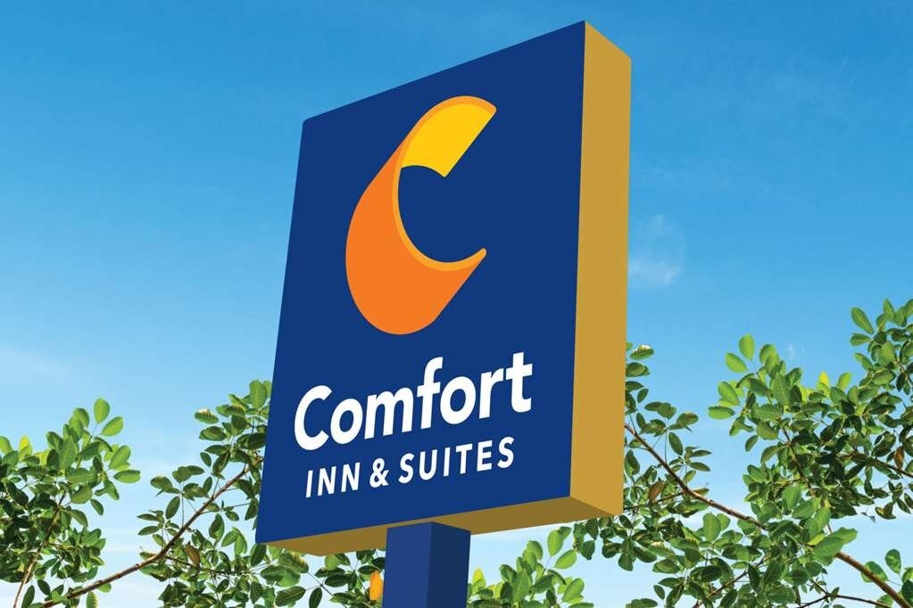 Comfort Inn & Suites Gallatin - Nashville Metro主图