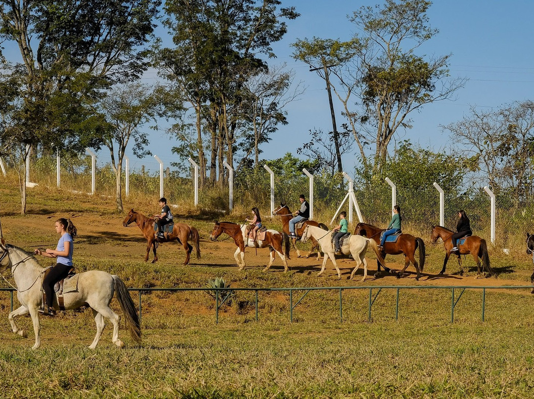 瓜拉廷格塔酒店住宿-Hotel Fazenda Sete Lagos