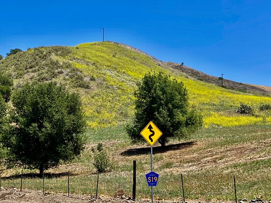 Cook's Corner-Silverado必去景点