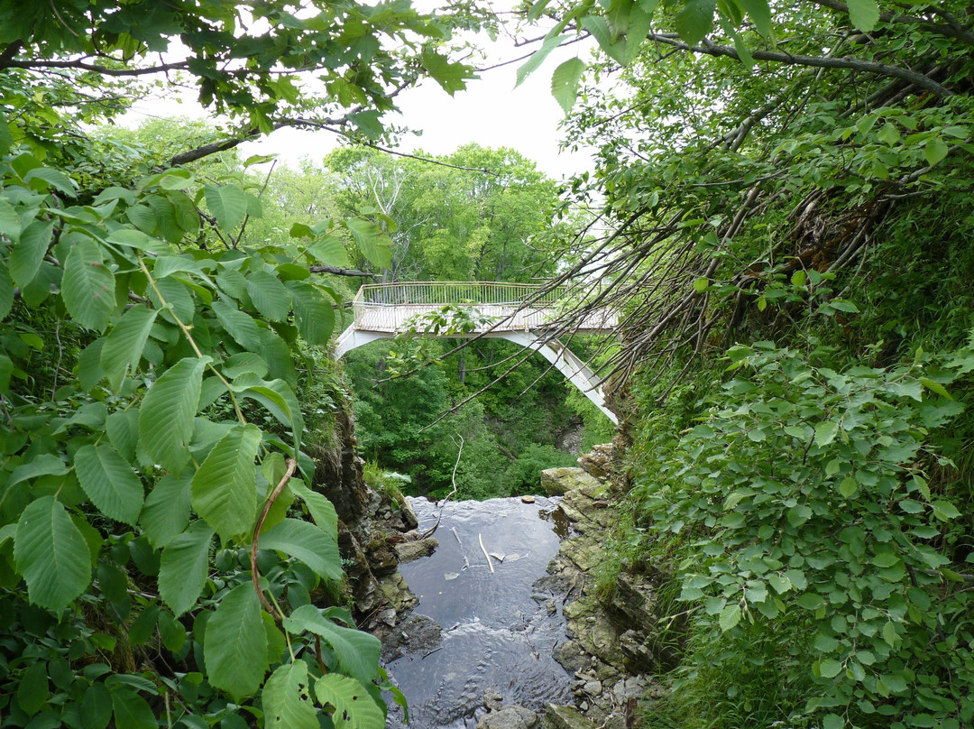 Toila旅游景点-Valaste Waterfall