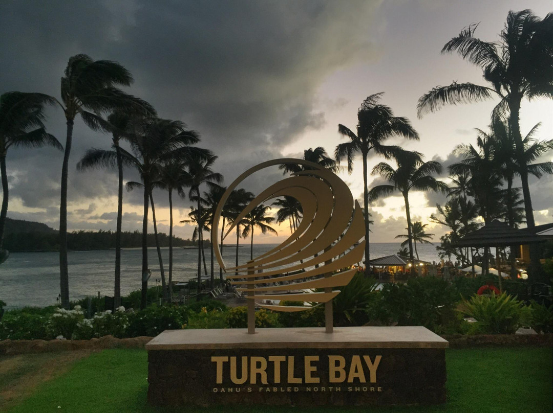 Kawela Bay旅游景点-Surfer, The Bar