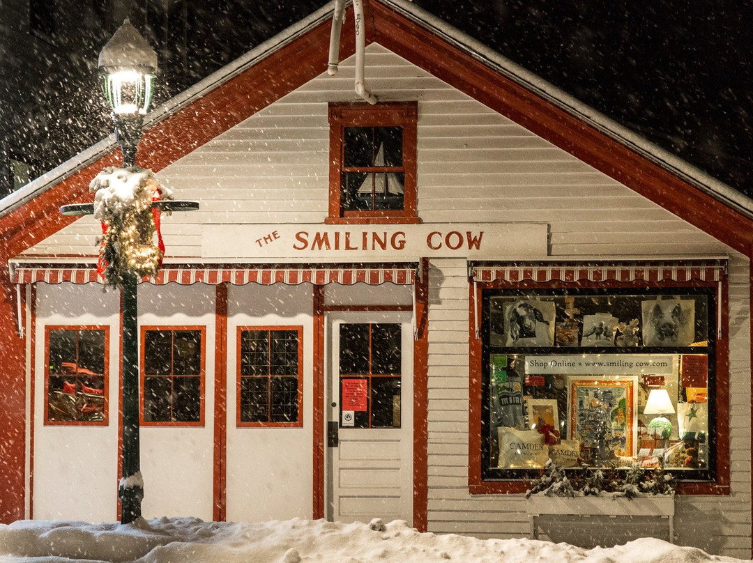 The Smiling Cow-卡姆登必去景点