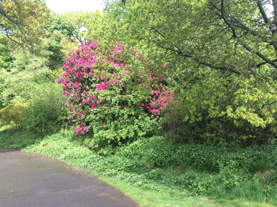 Plean旅游景点-Plean Country Park