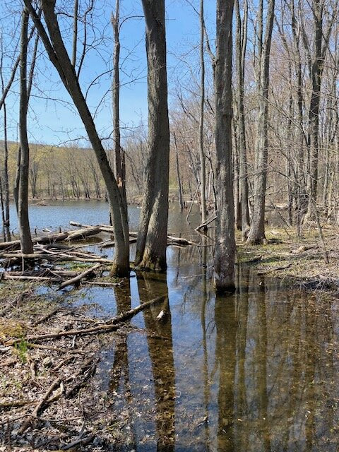 Tracy Lake-Tully必去景点