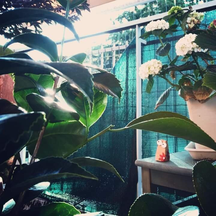Terre E Fuoco-巴里必去景点
