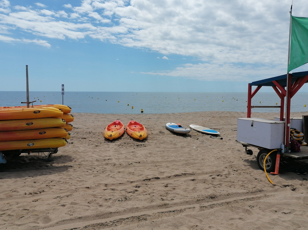 Bayou Beach SUP & Kayak