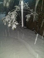 Woodsmoke Retreat主图