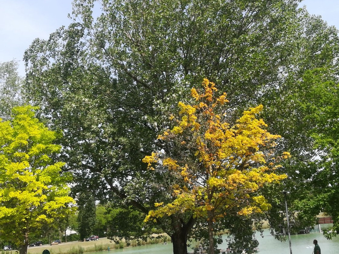 Parco di Via dei Giardini (della Ca' Bura)景点图片