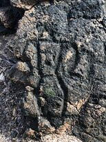 Waikoloa Petroglyph Preserve景点图片