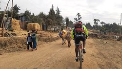 Ethio Cycling Adventures景点图片