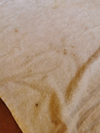 Il Castello di Frassinello-官方