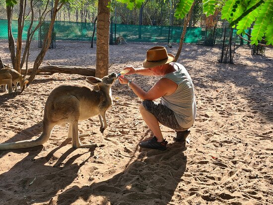 Kangaroo Haven景点图片