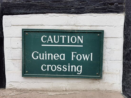 The Riverside at Aymestrey主图