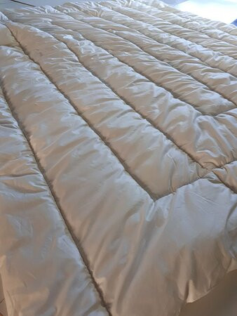 Country Wool Bedding - Boort-Boort必去景点