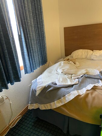 Days Inn by Wyndham Kill Devil Hills Oceanfront - Wilbur-官方