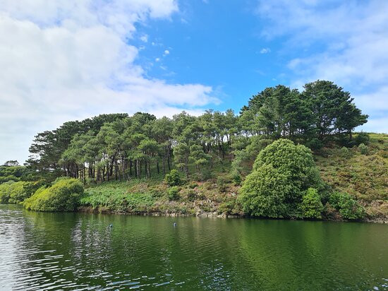 The Forgotten Forest Arboretum-St. Peter必去景点