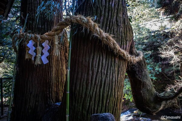 Shinryu Hachidaio Shrine-菊池市必去景点